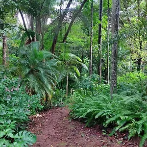  Holiday home Rainforest Retreat-fireplace-bbq-3 Acres- Australia
